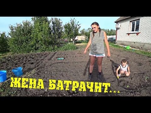 Жена батрачит - муж спит. Одни документы сдаём - другие получаем / Семья в деревне