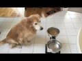Karu Mystery Taste Test