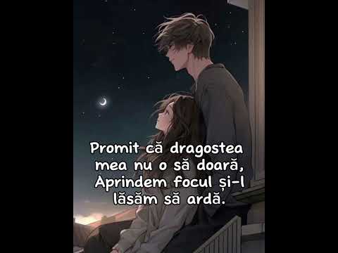 Dima Trofim x Bibi- Ne-am întâmplat (versuri/lyrics)