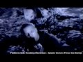 Flatlinerz Satanic Verses HD Provo One Remix