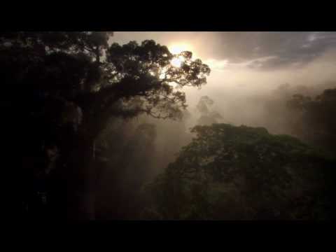 Enigma- Earth Chanting