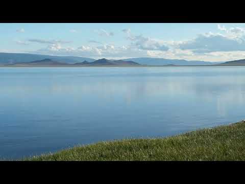 Meditate in the Beauty of the Meadows: A Relaxing Ambient Experience ⁂