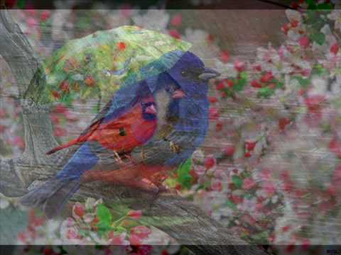 April Showers video
