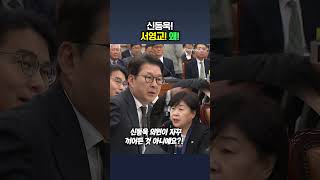 국정조사 반말 대전 신동욱! 서영교! 왜! / 채널A #shorts #DLAB