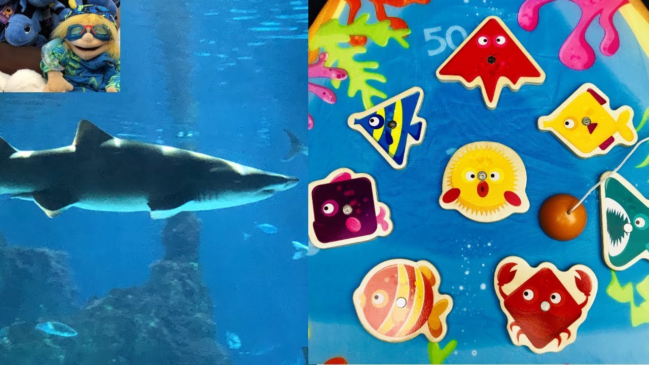 Elisenda Vilasaló Salsas-9