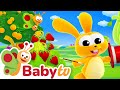 Magic Tricks With The Tiny Bunch Full Episode Kids Cartoons BabyTV