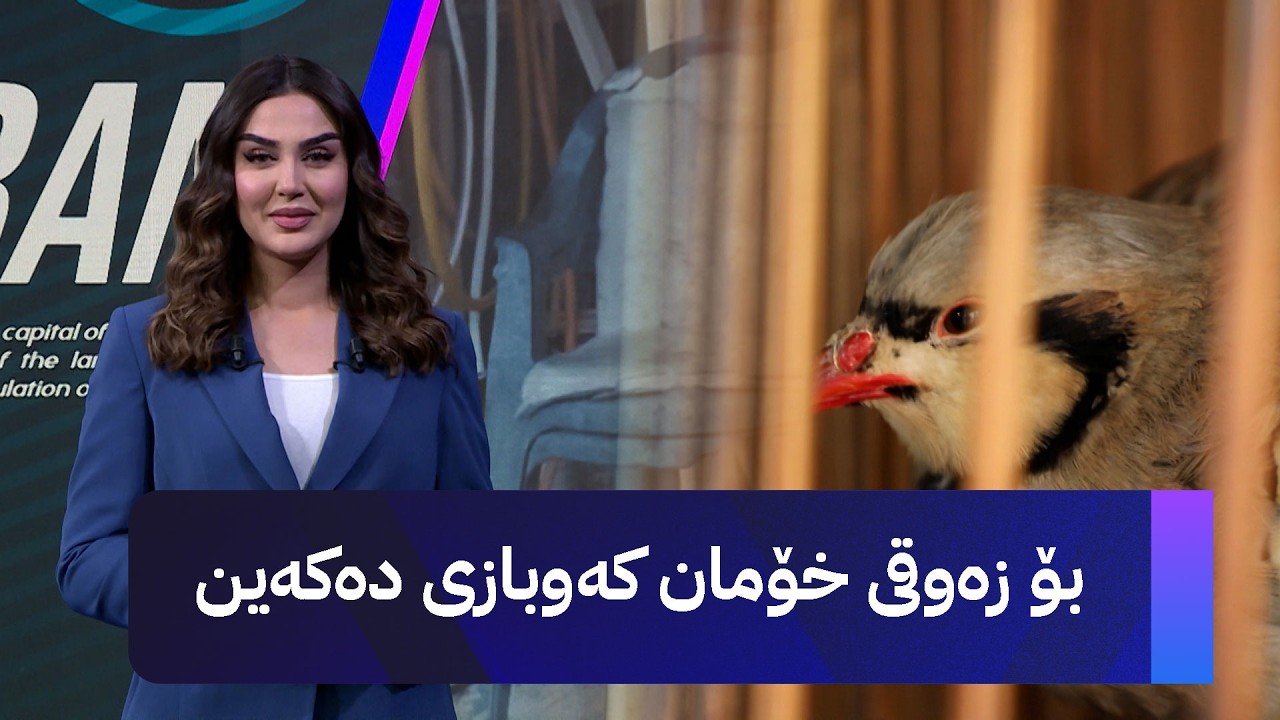 ڤیدیۆ | بۆ زەوقی خۆمان کەوبازی دەکەین