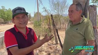 🇲🇽CHALINO SANCHEZ. chame felix (LA HISTORIA)😊