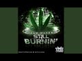 Bomb Weed & Palm Trees