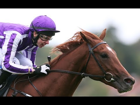 Australia - Dubai Duty Free Irish Derby (2014)