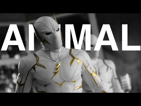The Flash • ANIMAL