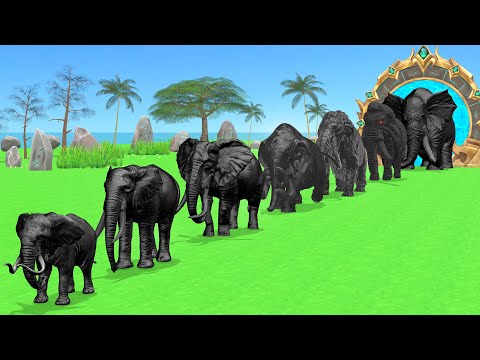 Paint Animals Elephants Size Comparison Fountain Crossing Animal Transformation Cartoon