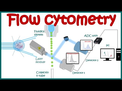 Flow cytometry : basic principles | What the use of  flow cytometry ? | Cell sorting by FACS
