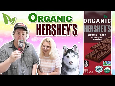 Organic Hershey's Special Dark Chocolate: The Ultimate Taste Test!