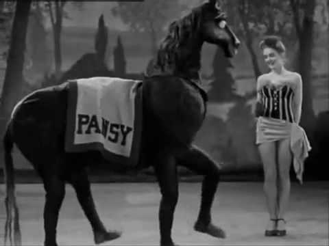 Rantanplan - Unbekanntes Pferd