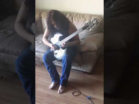 Custom Built Battle Axe Guitar by Damien black/silver image 2