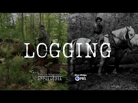 Life in Virginia's Appalachia - Logging