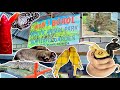 Inside XZOOtic Animal Park The Wildest Butterfly Garden Day1 2 ShamVillaflores Travel Philippines