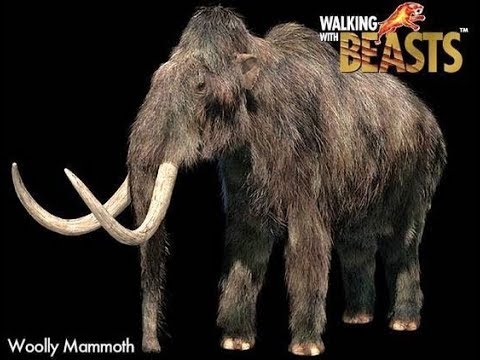 TRILOGY OF LIFE - Walking with Beasts - "Woolly Mammoth" (Mammuthus primigenius)