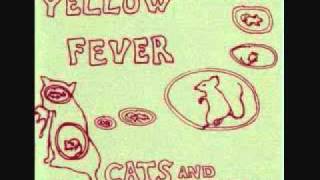 Yellow Fever    Cats and Rats