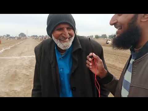 Dog race Dhulli baba G interview