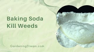 Baking Soda Kill Weeds