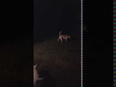 Helly in the morning