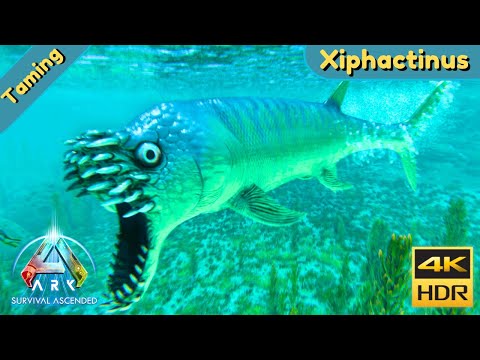 ARK The Center Ascended  : Tame a Xiphactinus