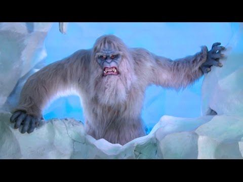 Matterhorn Bobsleds short video by Inside the Magic