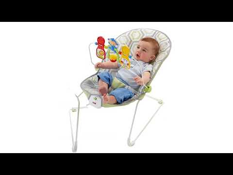 Fisher-Price Baby's Bouncer Geo Meadow(4.5Star,200+Rating).