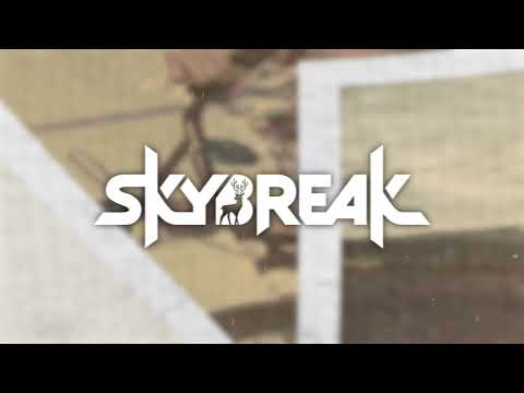 Video thumbnail for We Got It (Skybreak Remix)