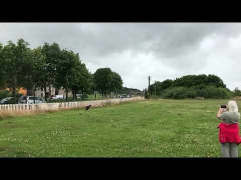 37038 arrives at Bo’ness