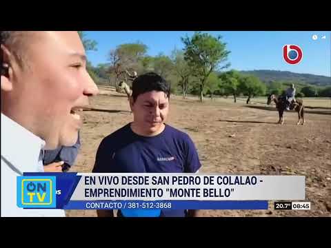 Monte Bello: el emprendimiento que transformará a San Pedro de Colalao