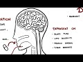 Pharmacokinetics Overview | ADME, Bioavailability, Half-Life & Clearance