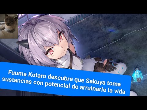 Action Taimanin: Historia de afinidad de Igawa Sakuya