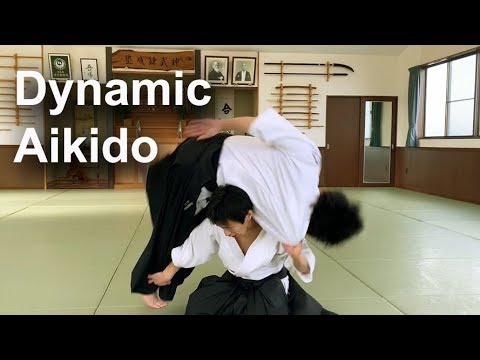 Dynamic and Technical Aikido - Shirakawa Ryuji shihan