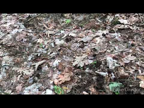 Sondeln der ganz normale Wahnsinn🤣