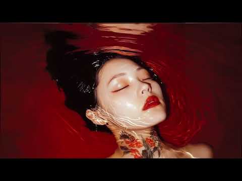 The Montini Experience - Astrosyn (Your House is My House) Thomas Schumacher Remix)