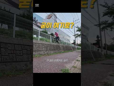 굳이 방벽 위를 타고 가겠습니다
