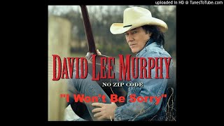 David Lee Murphy - "I Won't Be Sorry"