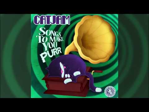 CATJAM feat. Hypeman Sage - Swing City