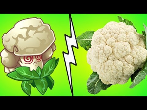 cauliflower power teamwork