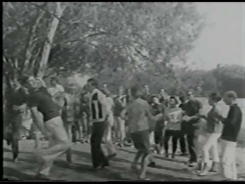 VIOLETA RIVAS y PALITO ORTEGA  -Despeinada-Qué Suerte-Sabor a nada-El cardenal y otros