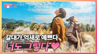 Beautiful autumn scenery of Eulsukdo의 이미지