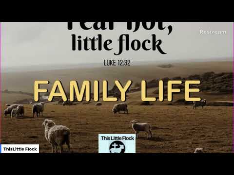 July 28, 2024 ~ Family Life ~ "The Portals We Must Watch" AH 401