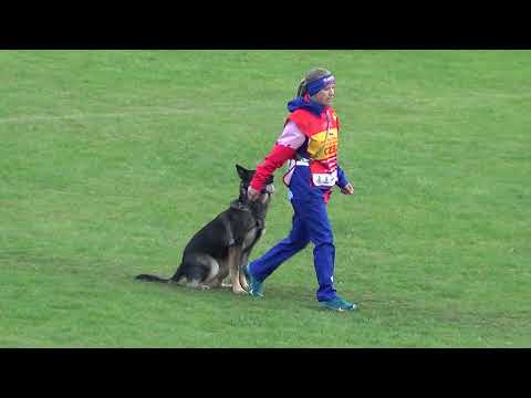 WUSV 2021  CZE 3 - BARBORA KARBUSICKA & DULA OD ZBOJNIKA S B94