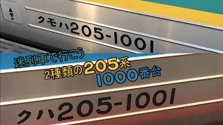 迷列車で行こう　2種類の205系1000番台