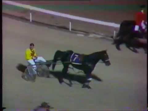 1983 Interdominions - Pacers' 3rd Heat, Alexandra Park, Auckland: Popular Alm