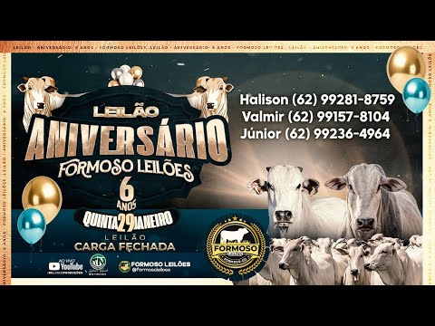 LEILÃO ESPECIAL DE ANIVERSARIO FORMOSO LEILÕES - FORMOSO - GO - 29/01/2026
