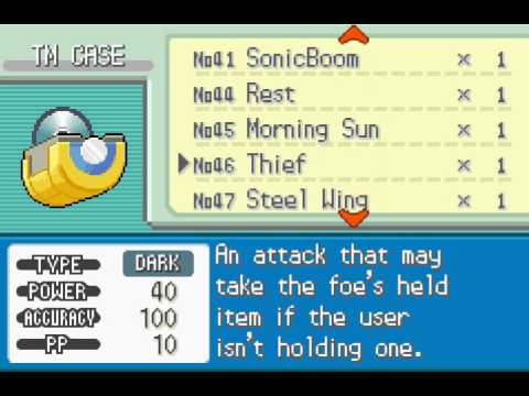 Touhoumon (FR) Part 71 - Gym and a heart attack